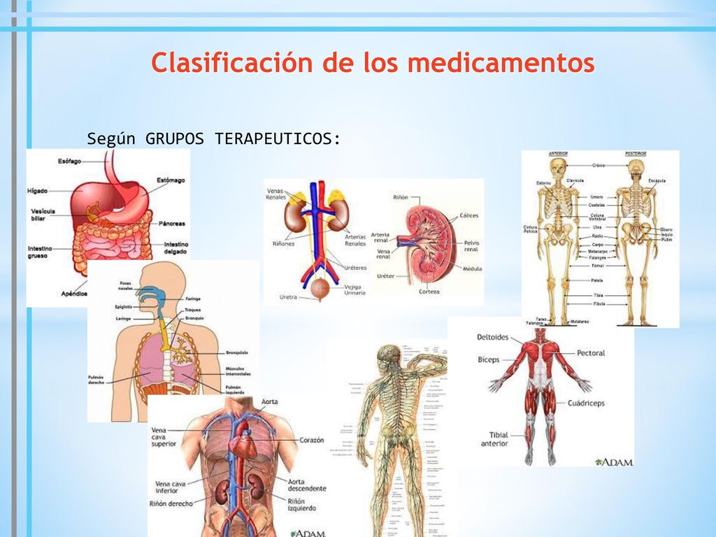 Clase Generalidades Farmacologia Y Nomenclatura Ppt Descargar